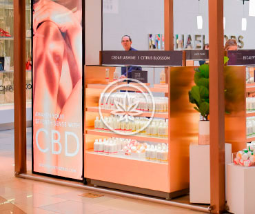 Marijuana Counter Display Cases