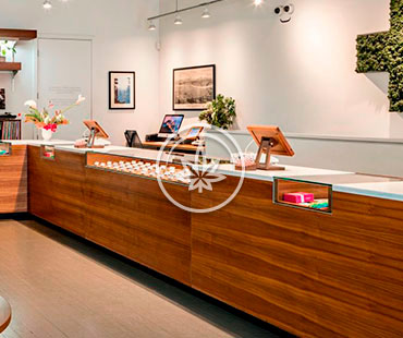 Marijuana Counter Display Cases