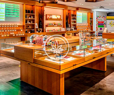 Marijuana Counter Top Display Cases