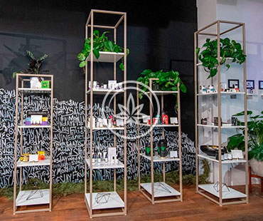 Cannabis Tower Showcases